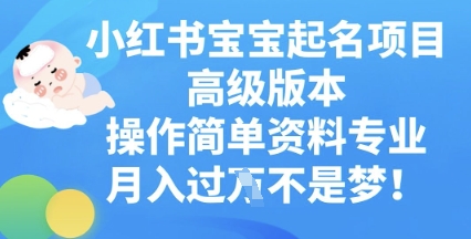 小红书宝宝起名项目高级版本,操作简单,资料专业,月入过W-金牛零本营