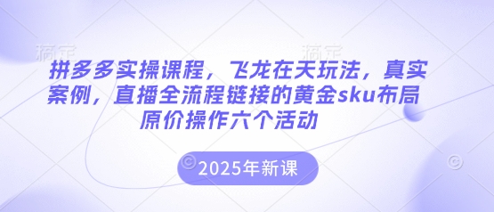 拼多多实操课程,飞龙在天玩法,真实案例,直播全流程链接的黄金sku布局原价操作六个活动-金牛零本营