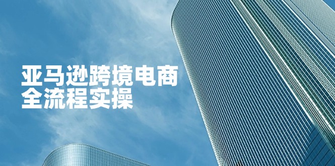 （14252期）亚马逊跨境电商全流程实操，教你从零开始，掌握店铺运营与广告技巧-金牛零本营