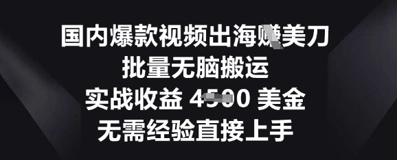 国内爆款视频出海挣美刀，批量无脑搬运，实战收益4.5k，无需经验直接上手-金牛零本营