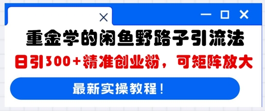 重金学的闲鱼野路子引流法,日引300+精准创业粉,可矩阵放大-金牛零本营