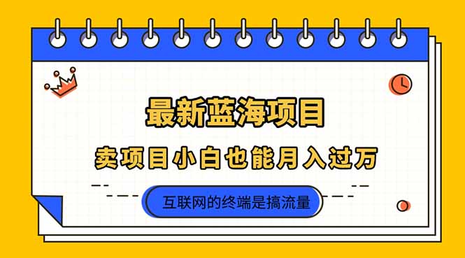 (14289期)2025年最新蓝海项目,卖项目小白也能月入过万-金牛零本营