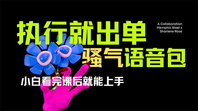 （14170期）爆火全网的开车导航骚气语音包,只要执行就出单，小白看完课程就能实操...-金牛零本营