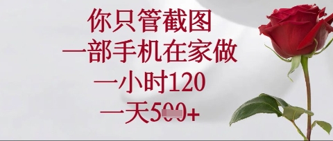 你只管截图,一部手机在家操作,一小时120.一天5张【揭秘】-金牛零本营