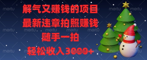解气又挣钱的项目,最新违章拍照挣钱,随手一拍,轻松收入数张【揭秘】-金牛零本营